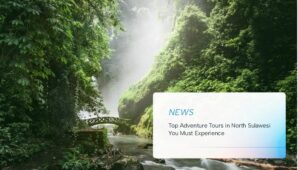 Top Adventure Tours in North Sulawesi You Must Experience